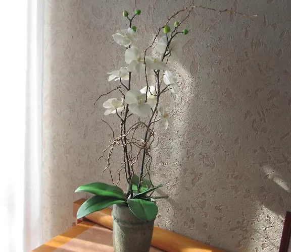 La Sterne Saint Gilles Croix de vie